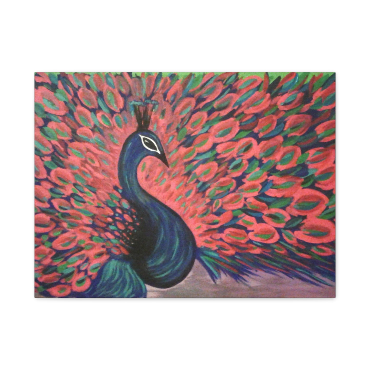 Vibrant Peacock Canvas Art - Colorful Stretched Wall Decor